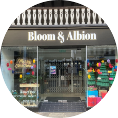Bloom and Albion